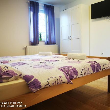 Vila Julija - Apartment & Rooms Otočac 外观 照片