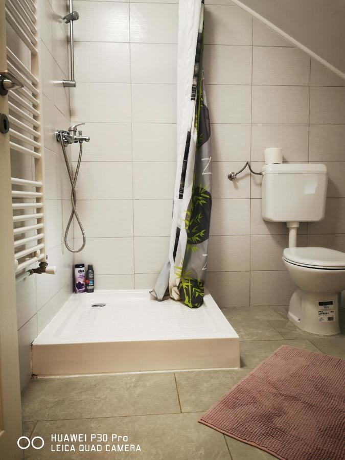 Vila Julija - Apartment & Rooms Otočac 外观 照片