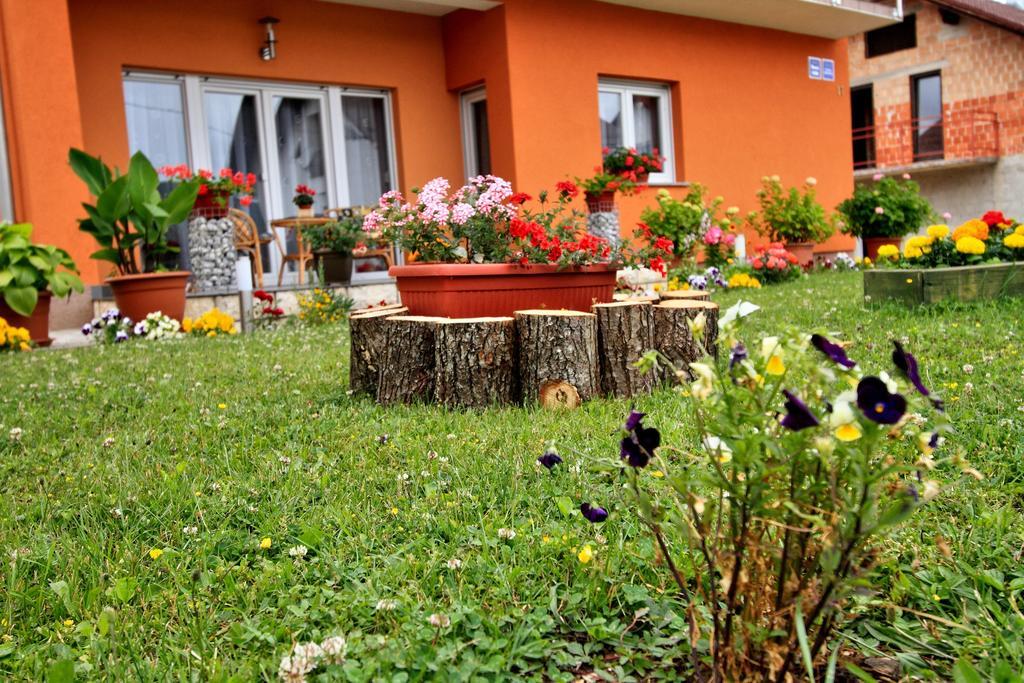 Vila Julija - Apartment & Rooms Otočac 外观 照片
