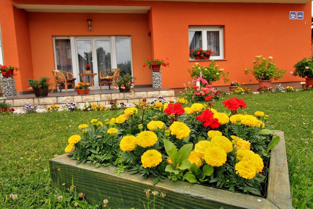 Vila Julija - Apartment & Rooms Otočac 外观 照片