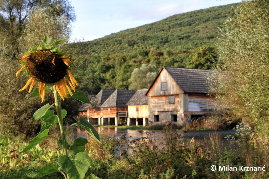 Vila Julija - Apartment & Rooms Otočac 外观 照片