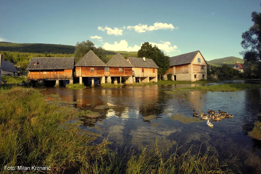 Vila Julija - Apartment & Rooms Otočac 外观 照片